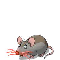Flitzi